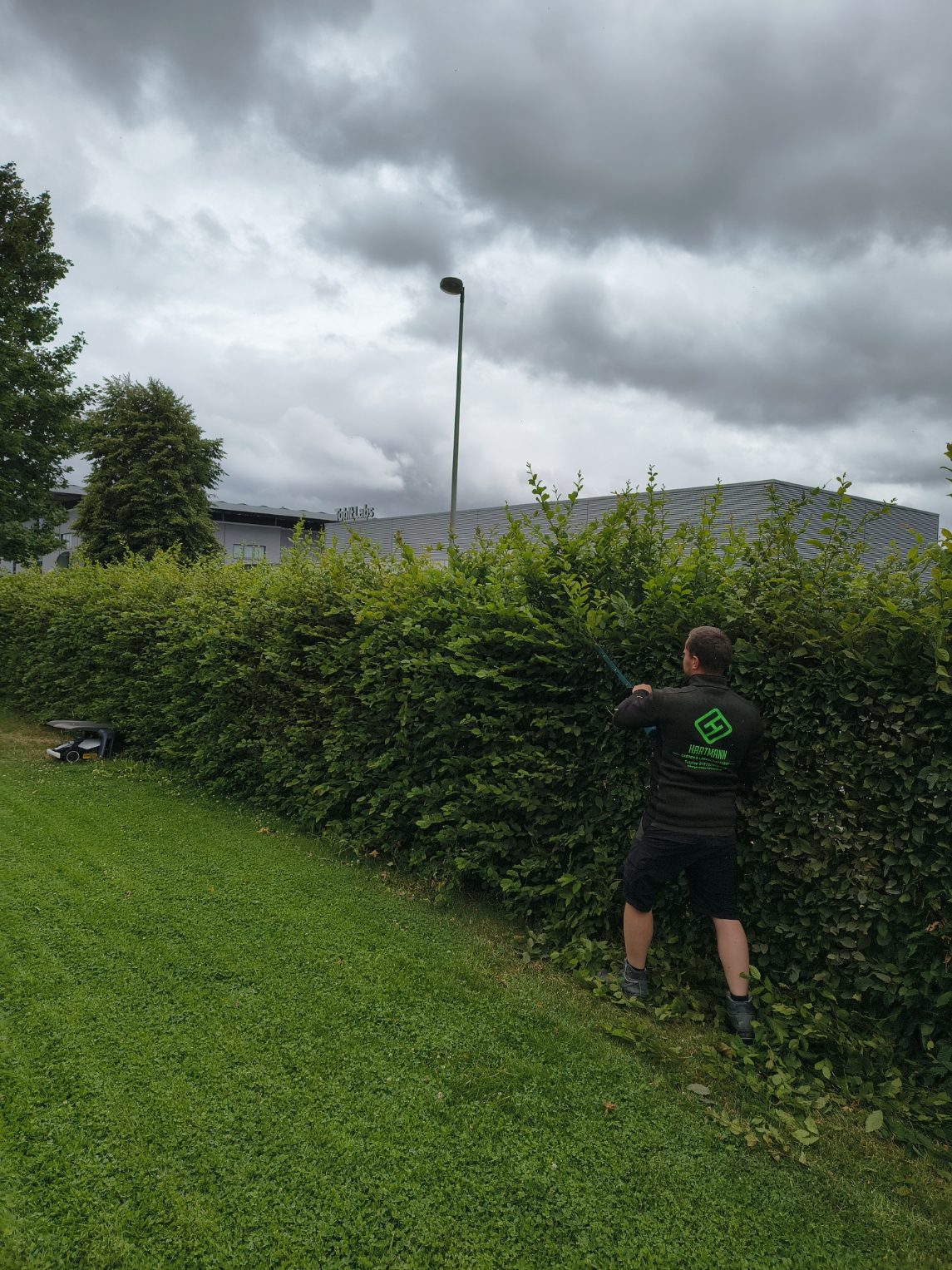 Gartenpflege Ahaus – professioneller Heckenrückschnitt durch Hartmann