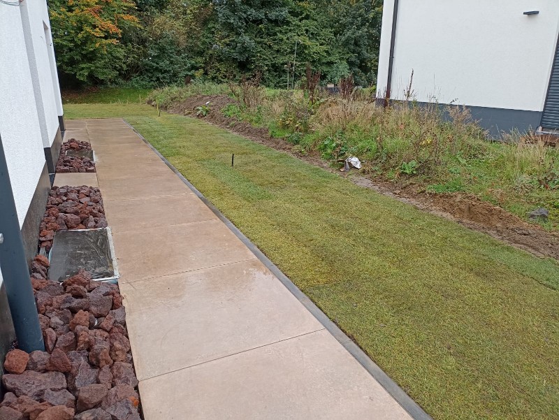 Frisch verlegter Rollrasen im Garten